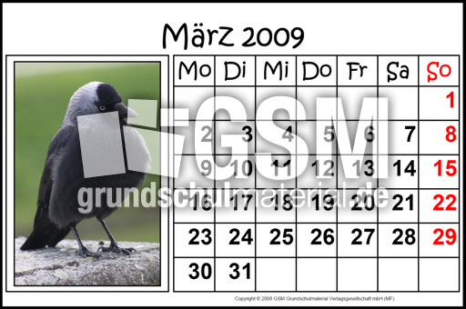 3-März-2009-quer.jpg